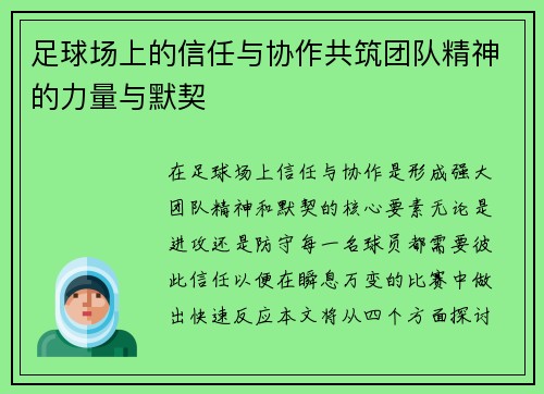 足球场上的信任与协作共筑团队精神的力量与默契